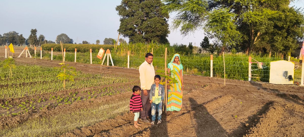 मनरेगा के तहत संचालित “एक बगिया माँ के नाम” परियोजना अंतर्गत ग्राम सादीखेड़ा की जनता स्वसहायता समूह की सदस्य श्रीमती संगीता पति घनश्याम ने अपने खेत में सहजन (सुरजना) के पौधे रोपे हैं।हितग्राही श्रीमती संगीता ने इस पहल के लिए मुख्यमंत्री डॉ. मोहन यादव के प्रति आभार व्यक्त किया है।