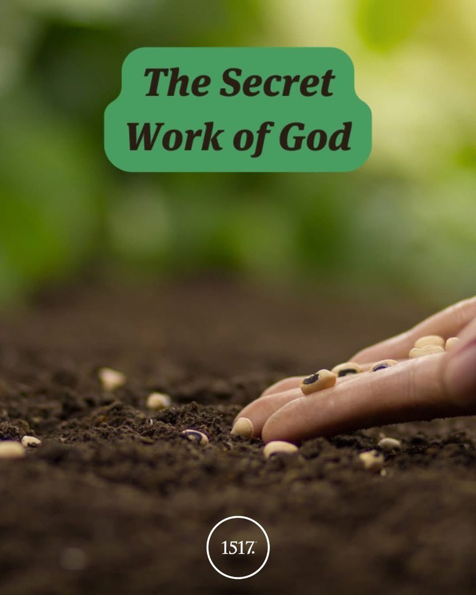 birdchadlouis's tweet image. Some little act you perform today could fundamentally alter someone’s life 50 or 100 years from now.

Do you ever think about that?

For instance, one day, you smiled at the clerk at the Dollar Store and struck up a conversation because you thought she looked a little down. She…