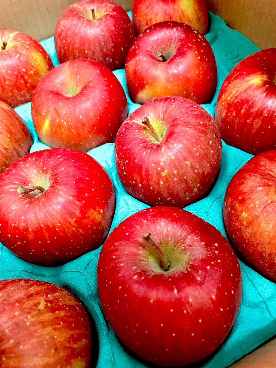 女優 佐々木麻衣 tweet media