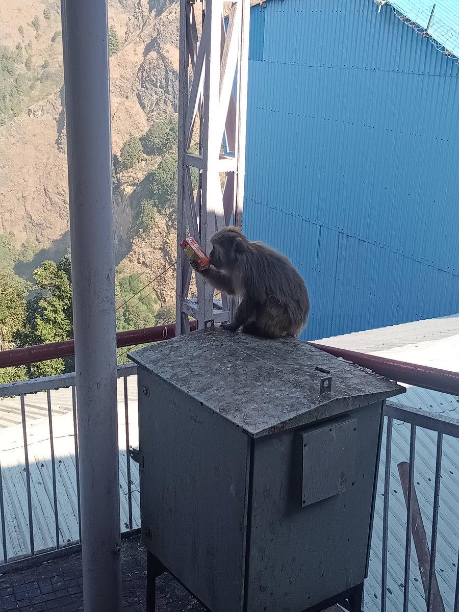 secondsavv's tweet image. 🧿🕉️🙏🏻🪬