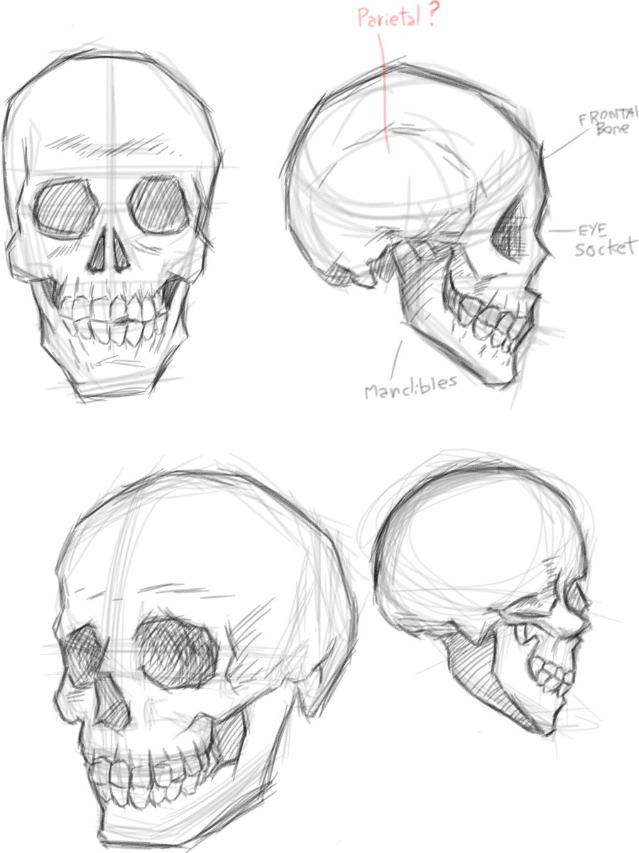 kankunggin's tweet image. I want to master digital art mane (back to basics) #art #fundamentals #ibispaint