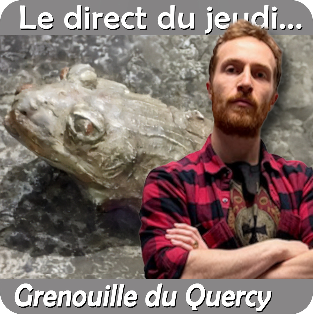 SimplexPaleo's tweet image. Demain jeudi 20 novembre à 20h30 sur Youtube et Twitch, je reçois le paléontologue Alfred Lemierre qui viendra nous parler des momies de grenouilles du Quercy.  
youtube.com/live/0V4PDjrMK…