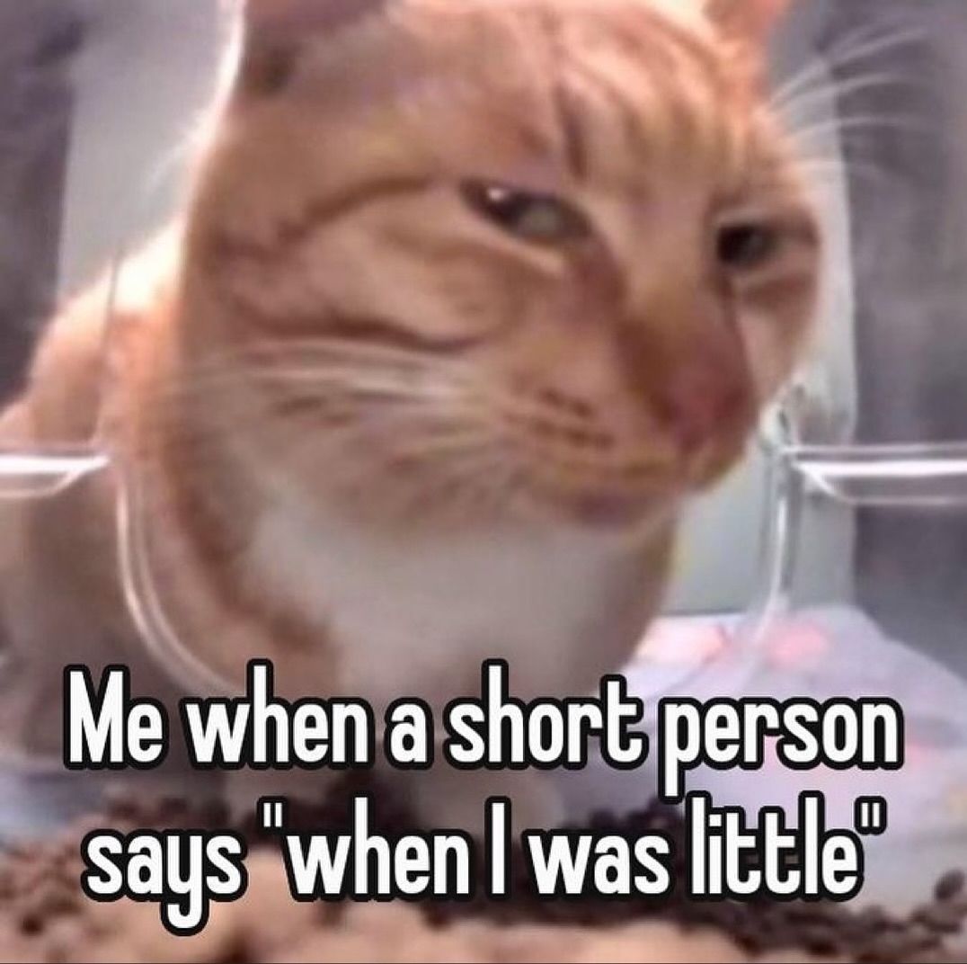 ShootaCat's tweet image. 