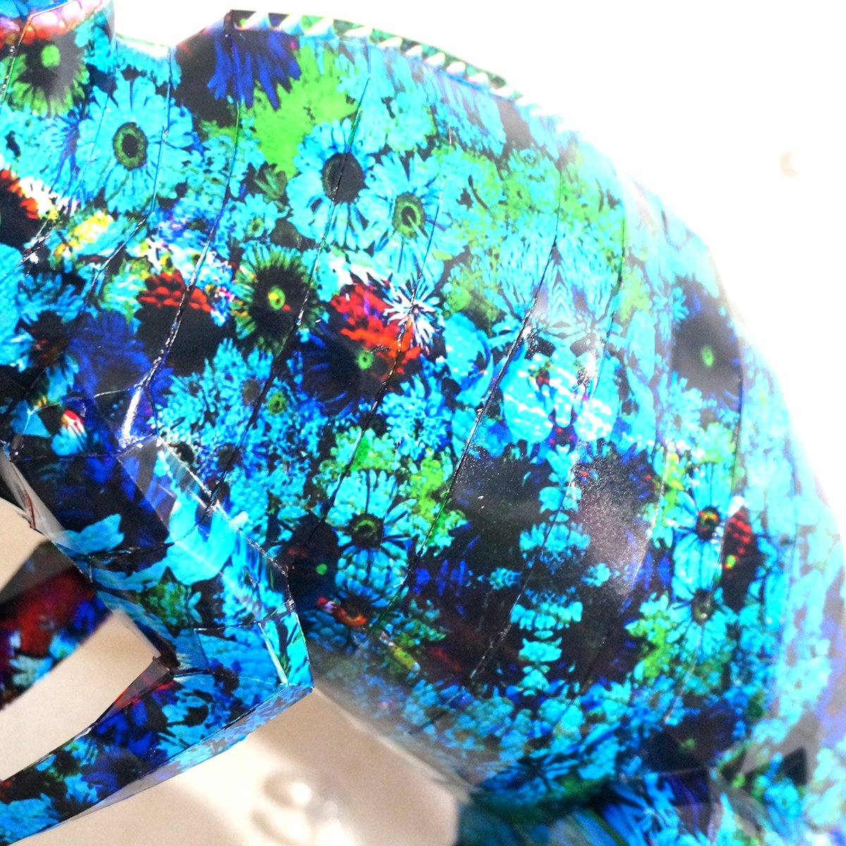 ブルーフラワーのカメレオンは空をつかむ 11月28日より開催されます