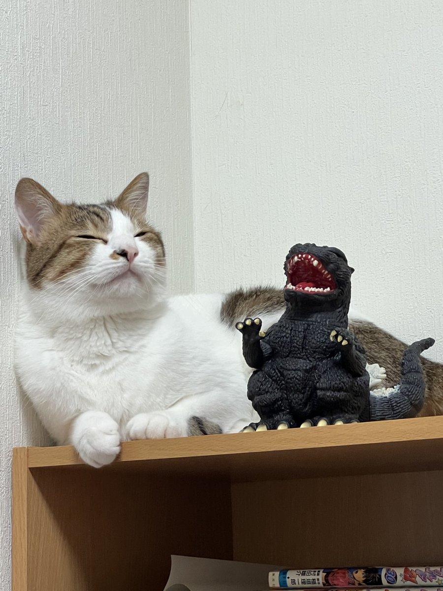 pkatumonogatari's tweet image. こんばんは🐱
12月から本格的にホールでの配信を行っていこうと思っています🐤
神奈川県内で撮ってもいいよっていう
ホールさんあったら教えてください🙏
これからは打ちに行くだけでなく
撮れるホールさん探しに行きます🐨
是非是非見に来てください🙏
神奈川県を熱く🔥🔥🔥
ご協力お願いします！！