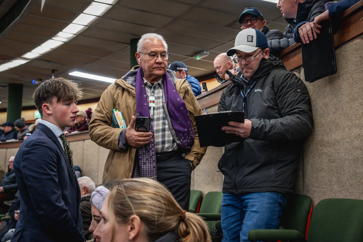 Goffs1866's tweet image. Off to a flying start on day 3 of #GoffsNovember💫

Lot 552 is a colt by @BallylinchStud Lope De Vega, half to Stakes placed Pretty Diva. Sells to @rob_speers &amp;amp; Old Mill Stud for €320,000 from @TheCastlebridge