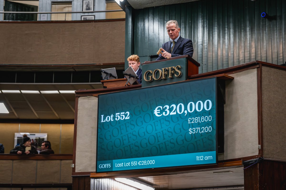 Goffs1866's tweet image. Off to a flying start on day 3 of #GoffsNovember💫

Lot 552 is a colt by @BallylinchStud Lope De Vega, half to Stakes placed Pretty Diva. Sells to @rob_speers &amp;amp; Old Mill Stud for €320,000 from @TheCastlebridge