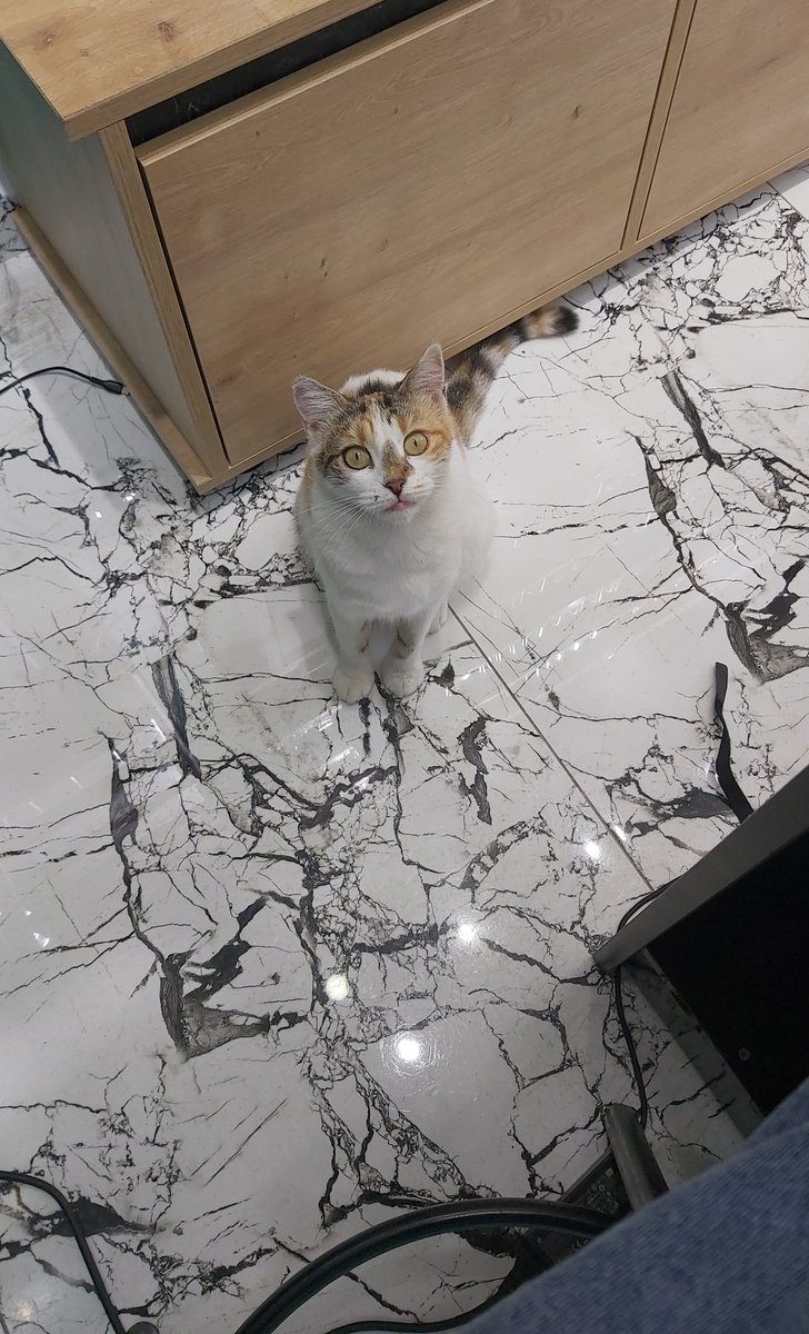 mrveekls's tweet photo. Haracını almaya geldi 🤣🤣 yaş mamik ver bakışı bu 😁 https://t.co/RDVs9iWufl