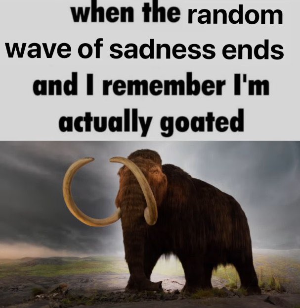 TheCumpound's tweet image. 