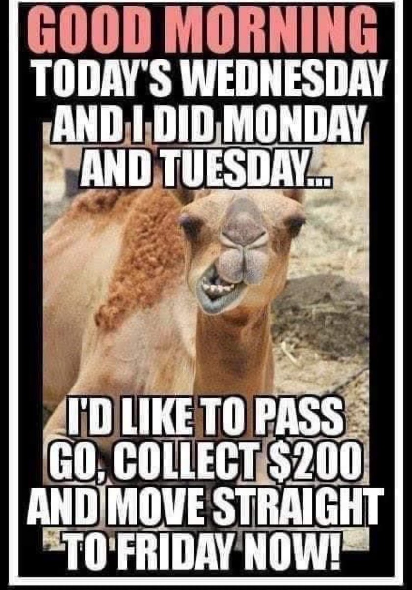 Amazing Grace 🇺🇸 🤍💙 tweet media