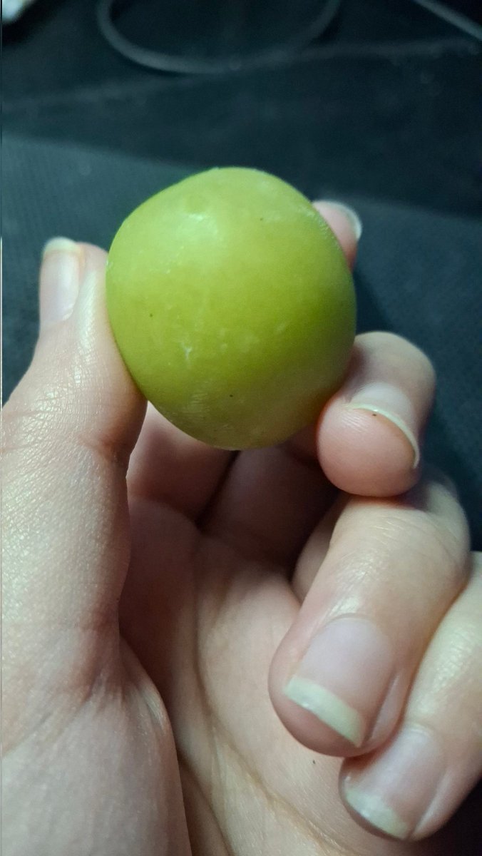 KisaneMikoCh's tweet image. องุ่นแช่แข็งอย่อยมาก! เหมือนกินไอติมองุ่นเลยอ่ะ💚✨️

#Kinekomata #KisaneDaily