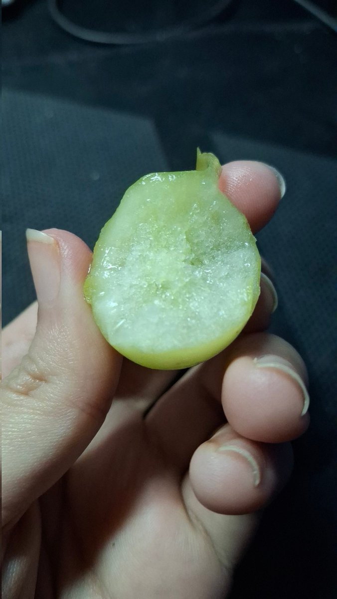 KisaneMikoCh's tweet image. องุ่นแช่แข็งอย่อยมาก! เหมือนกินไอติมองุ่นเลยอ่ะ💚✨️

#Kinekomata #KisaneDaily