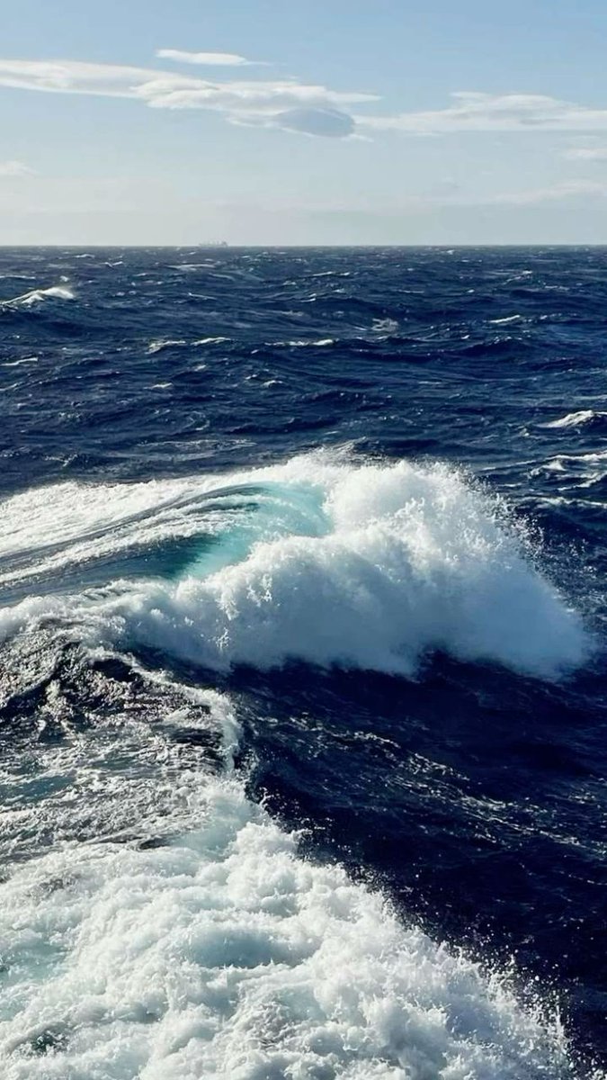 ocean (@hawsett4) on Twitter photo 