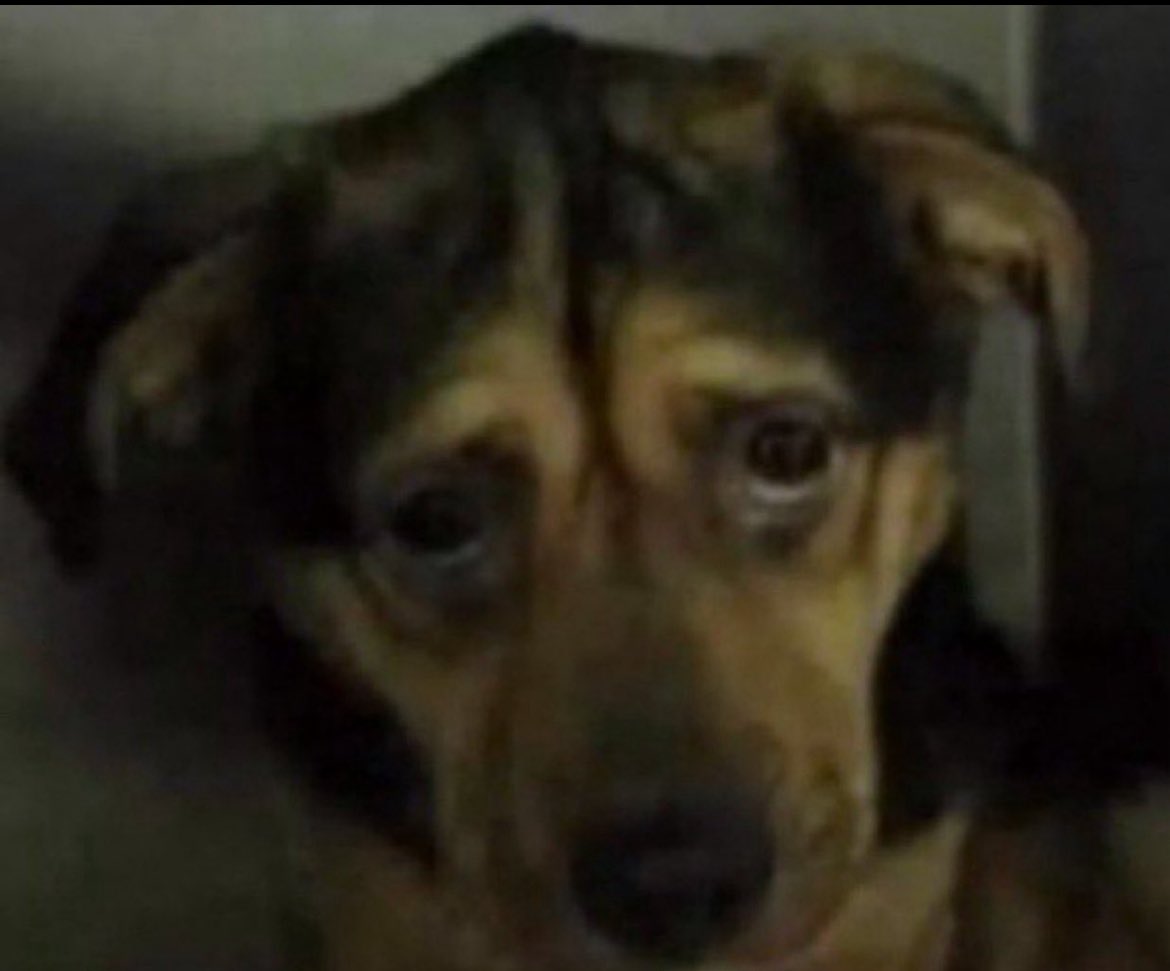 Receber um “não” da empresa que você queria dói bem mais do que levar um “não” do ficante premium.