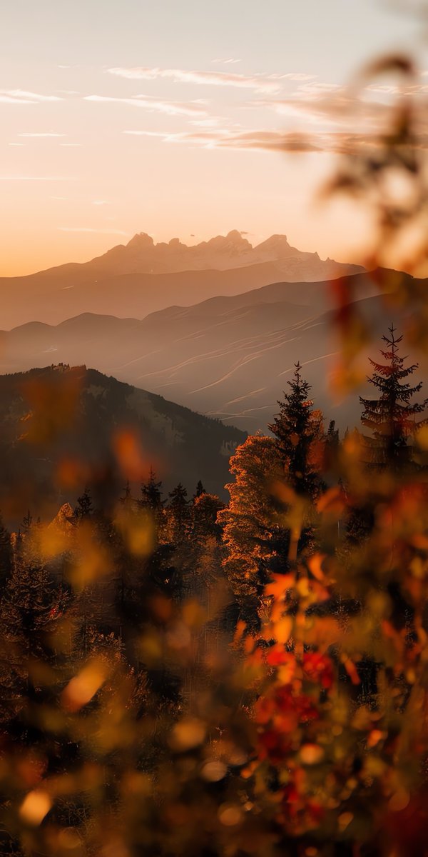 WallViews1's tweet image. New wallpaper