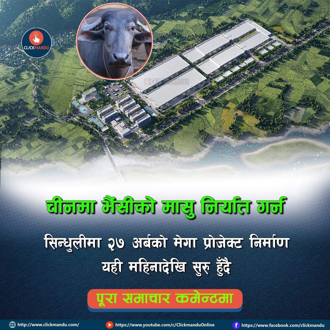 BhogendraKushw3's tweet image. चीनमा भैंसीको मासु निर्यात गर्न सिन्धुलीमा २७ अर्बको मेगा प्रोजेक्ट निर्माण यही महिनादेखि सुरु हुँदै
सोमबारसम्म एफडीआईको रकम रिलिज हुने, १७ बिगाहा जग्गा पास