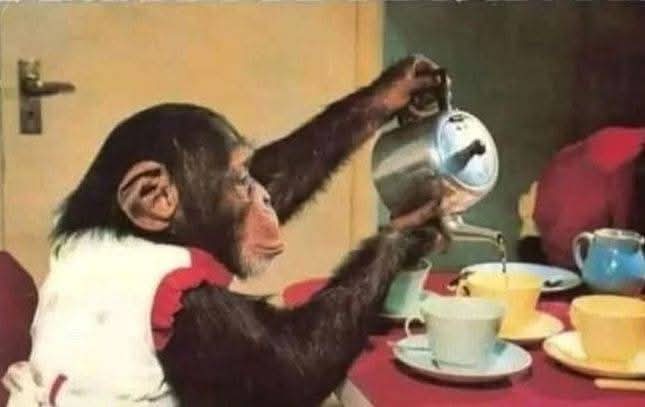 Bosco_Mk's tweet image. Interviewer: feel free
Me : so who&apos;s dating  the CEO?