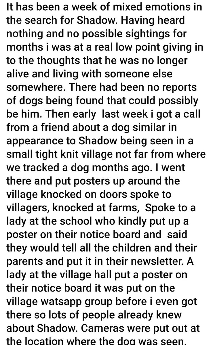 MissingPetsGB's tweet image. It&apos;s a cruel world at times. 
Thoughts with Shadow&apos;s family.
Please someone come forward and let his family know what has happened to their boy 🙏💔