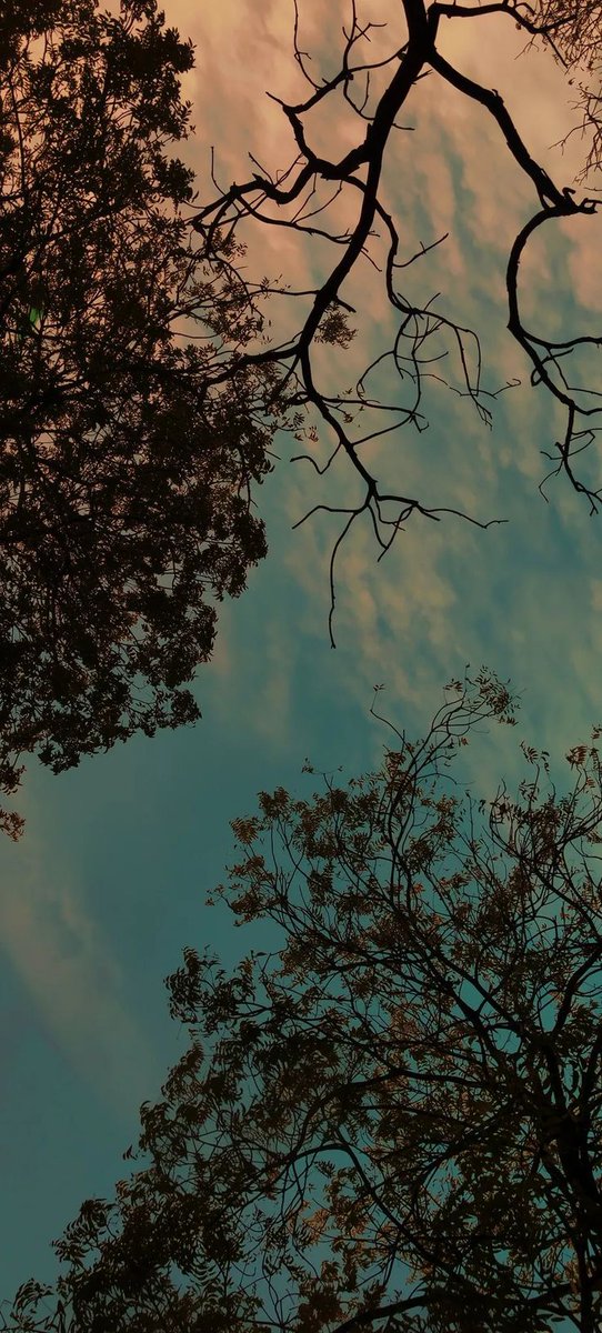 WallViews1's tweet image. Tap hold load 4k