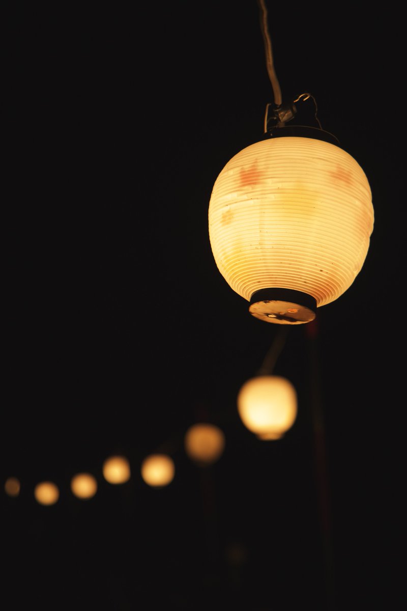 S38Qq9's tweet image. 🏮🏮🏮🏮🏮🏮🏮🏮
#写真
#EOSR6MarkII