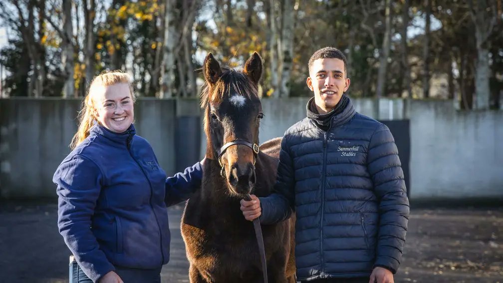 rpbloodstock's tweet photo. 💬 'All I could hear was my heart pumping out of my chest once it got to two [hundred thousand]. I couldn’t hear any bids, just my heart pounding!'

Lifeplan's half-brother brings a life-changing €285,000 at Goffs

READ MORE 👉 https://t.co/5ifeEKyfNK https://t.co/LdsaxQiaaJ