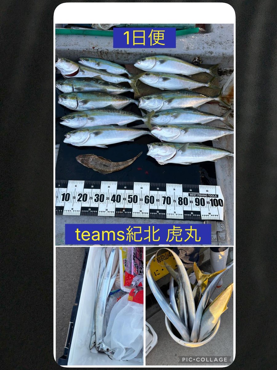 釣船 虎丸 (@R06080120) / Posts / X