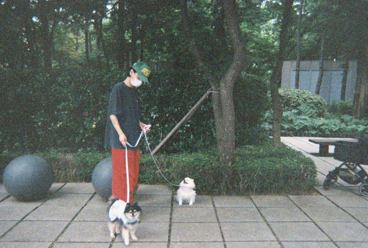 shfly3424's tweet image. 이번 필름을 현상하러 가는 내 발걸음이 유난히 무거웠어
며칠 전 세상을 떠난 너의 마지막 새로운 사진이 그 안에 남아 있어서였기도 하겠지만 이제는 영원히 네 새로운 사진을 볼수 없겠지

너의 시간은 여기에서 멈춰버렸지만
우리가 함께했던 모든 순간은 아직도 내 마음 속에서 또렷하게 살아…