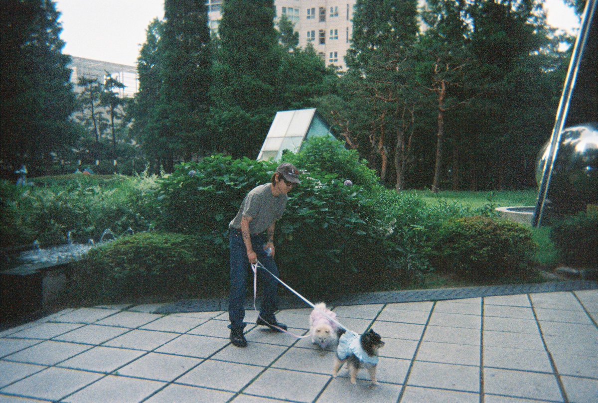 shfly3424's tweet image. 이번 필름을 현상하러 가는 내 발걸음이 유난히 무거웠어
며칠 전 세상을 떠난 너의 마지막 새로운 사진이 그 안에 남아 있어서였기도 하겠지만 이제는 영원히 네 새로운 사진을 볼수 없겠지

너의 시간은 여기에서 멈춰버렸지만
우리가 함께했던 모든 순간은 아직도 내 마음 속에서 또렷하게 살아…