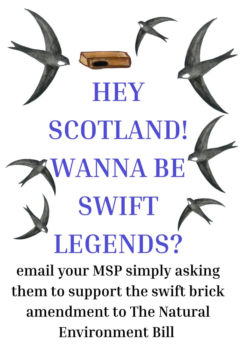 Hey Scotland! 🏴󠁧󠁢󠁳󠁣󠁴󠁿 Wanna save our swifts? Ask your MSP to support ⁦<a href="/markruskell/">Mark Ruskell</a>⁩ swift brick amendment to The Natural Environment Bill. Show England how it’s done!!!