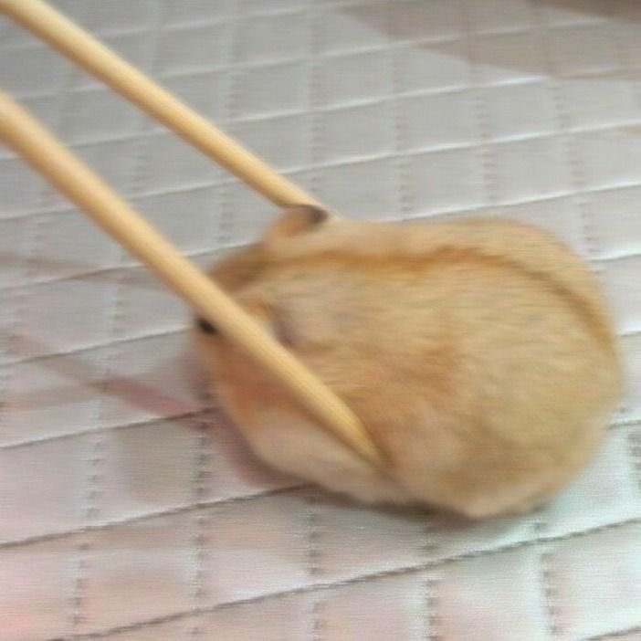 hyeonieverse's tweet image. 