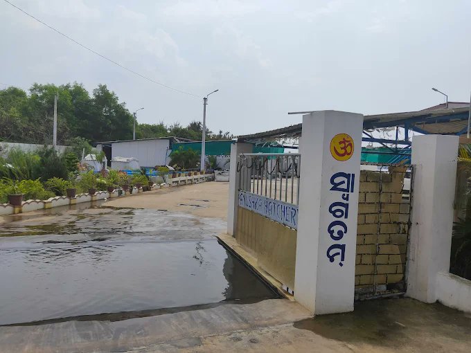 epfoberhampuro1's tweet image. Meeting with the employer of Anushka Hatchery, Gopalpur on Pradhan Mantri Viksit Bharat Rozgar Yojana  &amp;amp; EEC 2025.#PradhanMantriViksitBharatRozgarYojana #epforeforms #EPFO @EPFOZOODISHA @officialepfo