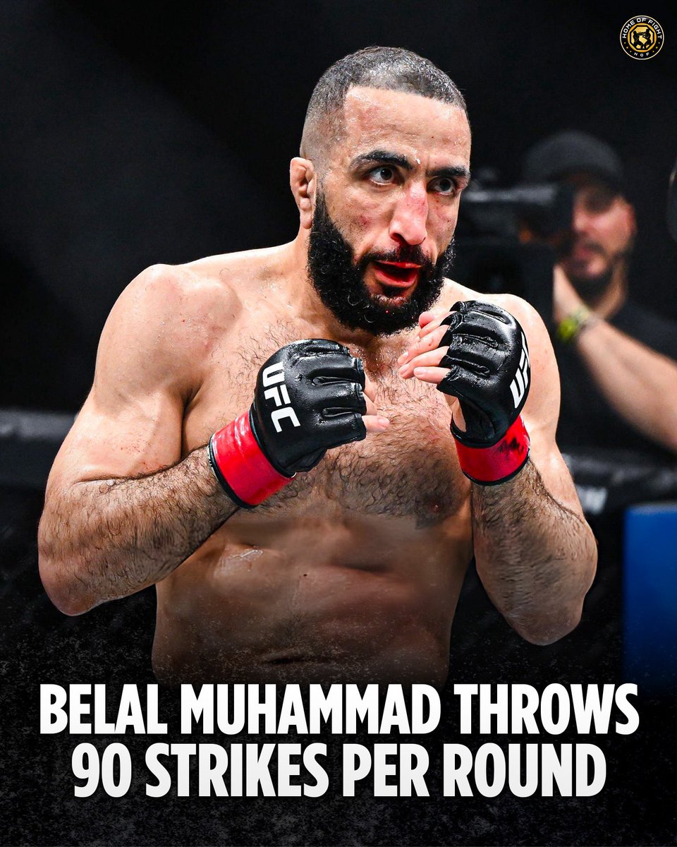 Home of Fight tweet media