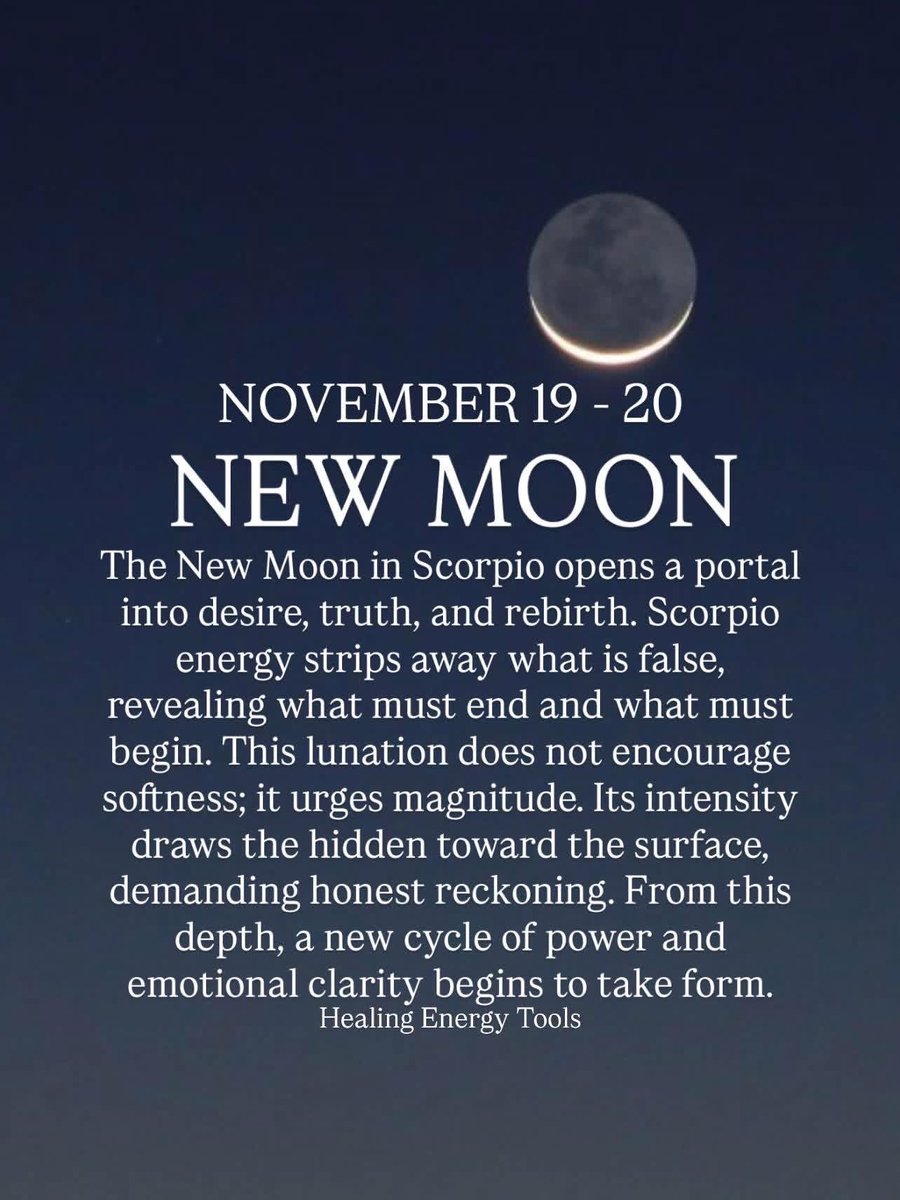 caperstumpy's tweet image. I&apos;m feeling it