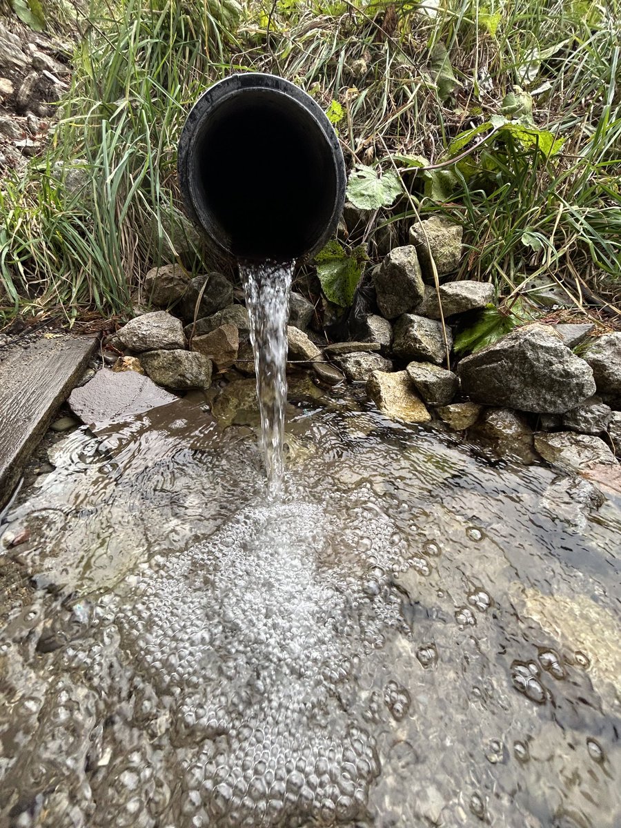 Good morning, happy Wednesday 😊 #WaterWednesday