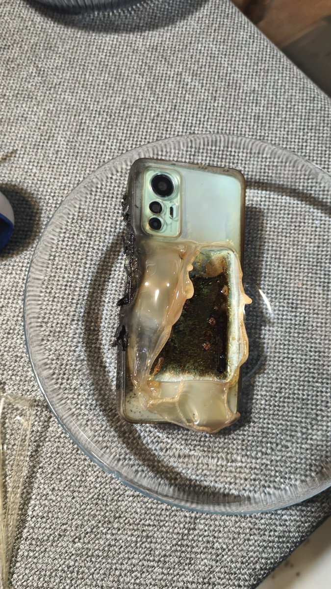 Berkin Ceylan tweet media