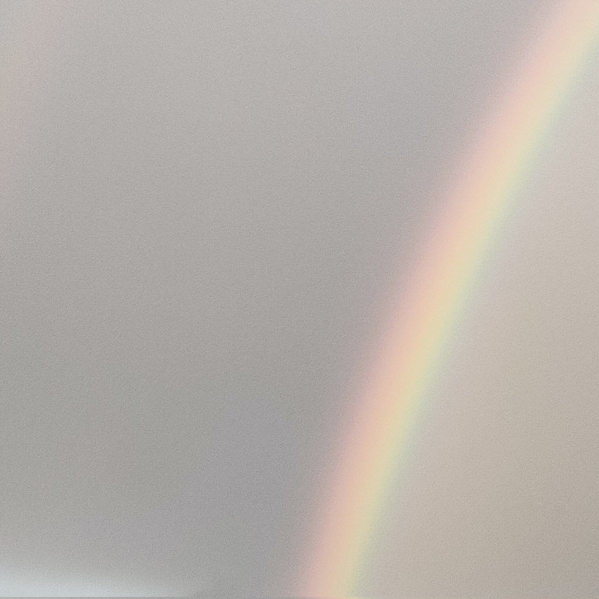 and1_999's tweet image. 大丈夫♪
大丈夫だよ♪
見上げればもう♪
大丈夫ほら♪
七色の橋♪
涙を流し終えた君の空に♪
ねえ見えるでしょう色鮮やかに♪
僕にも見える君と同じの♪
絆という名の虹がかかあったね♪
そして二つの空がやっとやっと
一つになって　僕らを走らせるんだ♪

ハンナリーズ🐱
ストレス発散💪💪💪