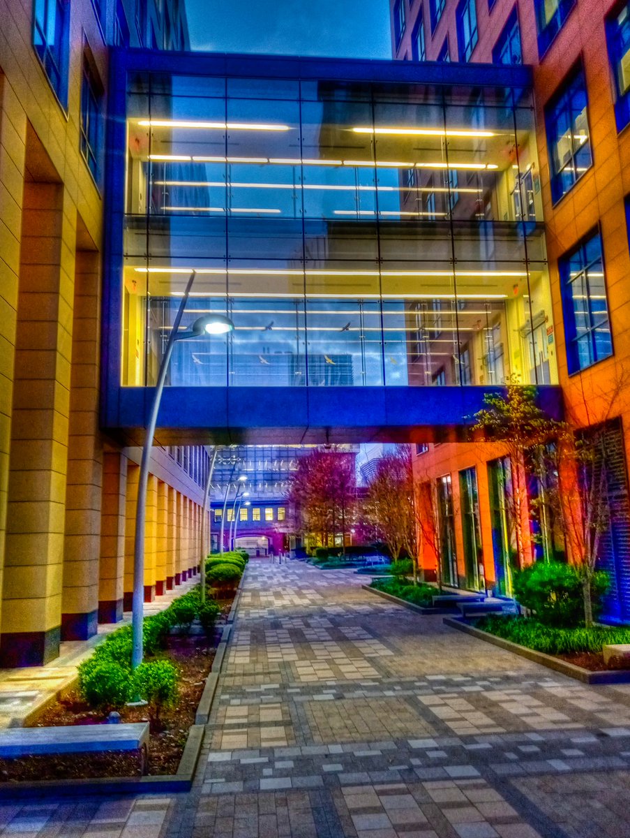 paulsportrait's tweet image. &quot;Between the Buildings&quot; #Pfizer #CambMA