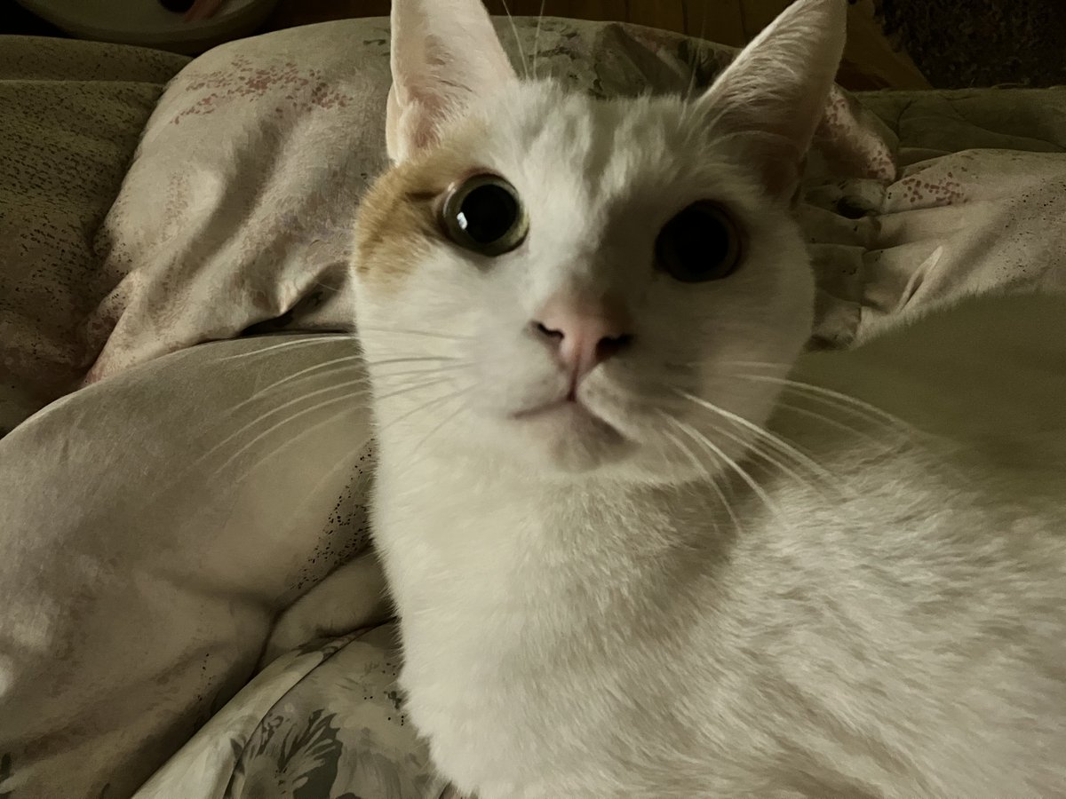 （7月VIP 15%off中） きょうかです❣️0702 PikKa (@333ma3) / Posts / X