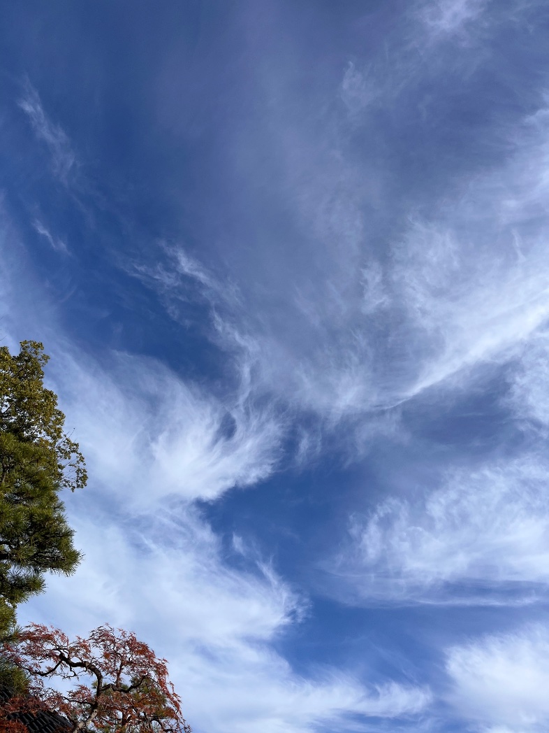 暖かい飲み物を作る時は熱々にしたい派

でも、猫舌