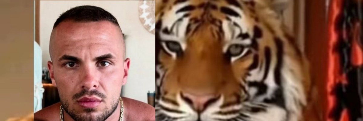 Fituesi i kti edicioni te #bbvipks4 🐯