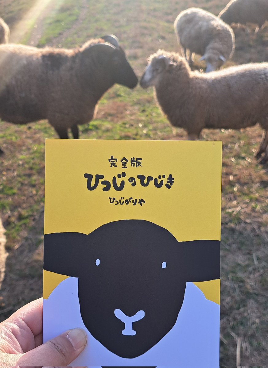 完全版 ひつじのひじき できた🐏 6年分の4コマ75話＋おまけ