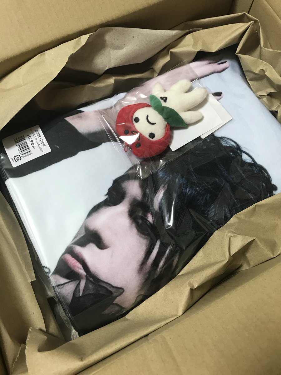 カメラロールをごっそり綺麗にしていたら箱開けた瞬間変な声が出たBUCK