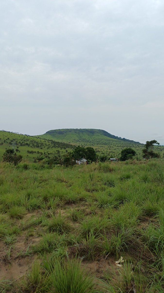 Przez jakie ja tereny idę... normalnie mała Szkocja!