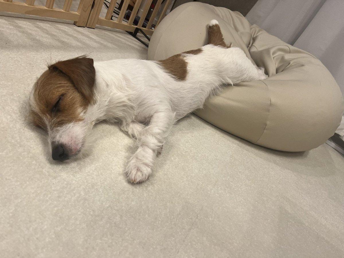 ベッドで寝ようよ〜