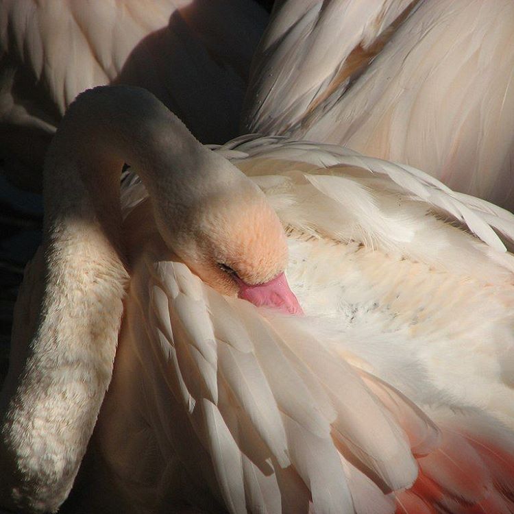 sorrrowfull's tweet image. 