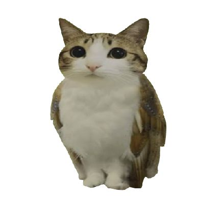 thedlearner's tweet image. gm i have 501 followers nobody move