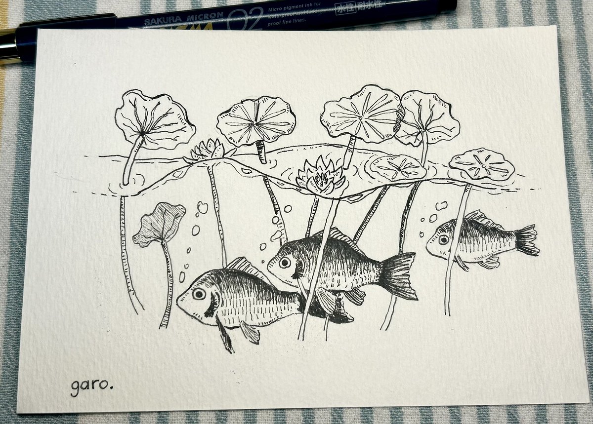 がろ＊ペン画 tweet media