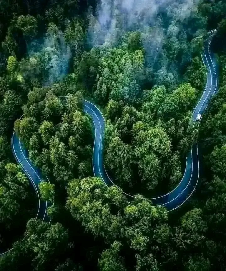 GashamaYohannes's tweet image. ኢትዮጵያ◇Entoto Mountain 🇪🇹, often called the lung of አዲስ አበባ #Addis_Ababa, is an essential natural part of the city.”

#VisitEthiopia