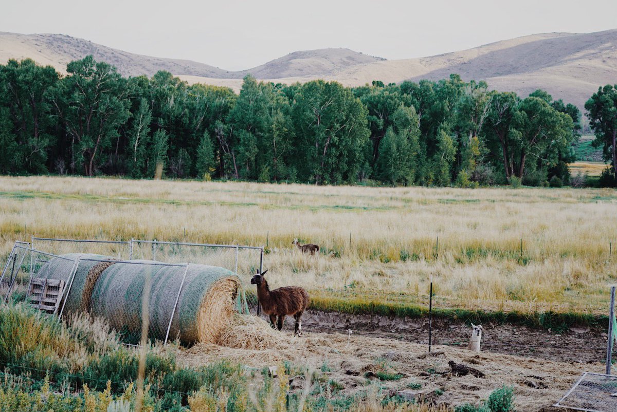 I missed posting here. 🫣👀
#ShotonSonyAlphaA6400 #Colorado