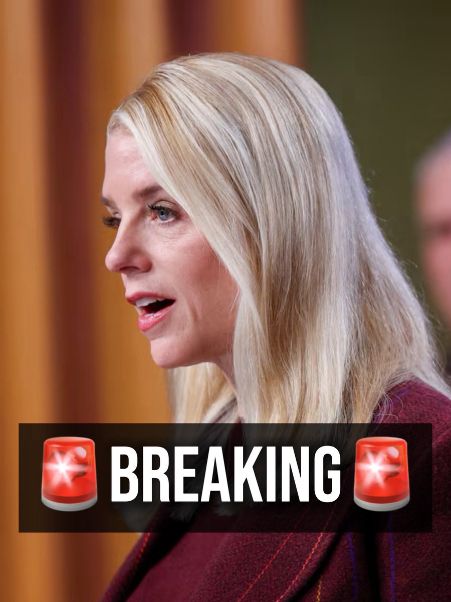 ninoboxer's tweet image. 🚨BREAKING: Pam Bondi says the DOJ will release all Epstein-related files within 30 days… 

The countdown starts now folks…